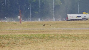 20130811_135114