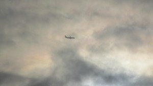 img_7266