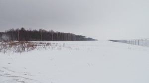20130223_071616